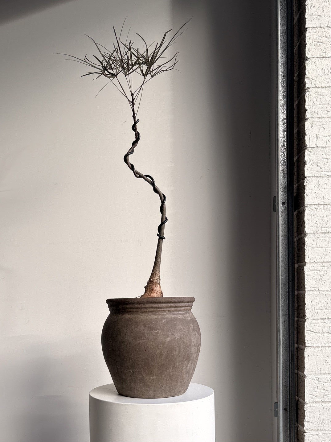 Living Forms
