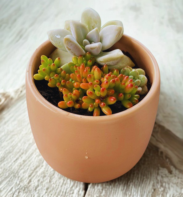Little Forms
